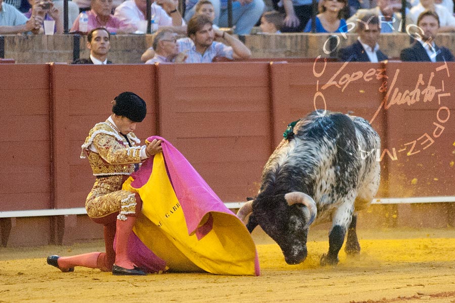 José Garrido.