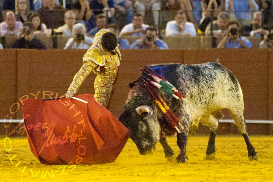 José Garrido.