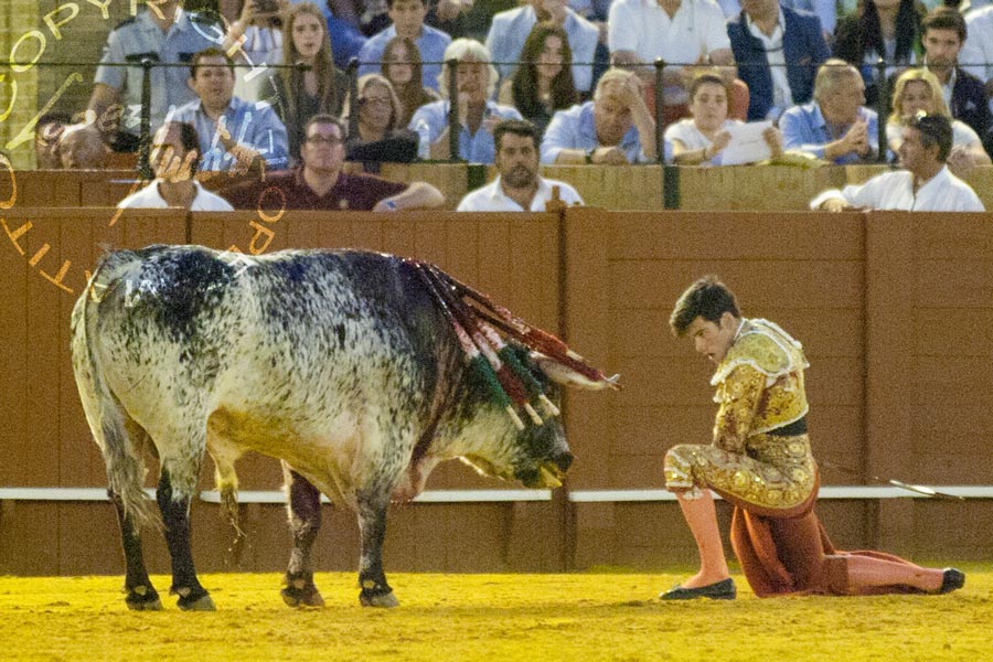 José Garrido.