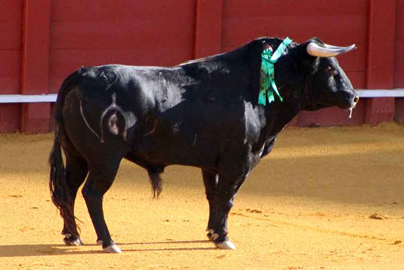 El primero de Fuente Ymbro.