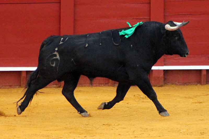 El cuarto de Fuente Ymbro.