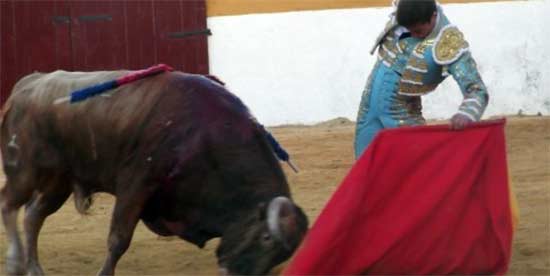 Lama de Góngora toreando al novillo indultado hoy en Fuentes de León. (FOTO: Ledesma/badajoztaurina.com)