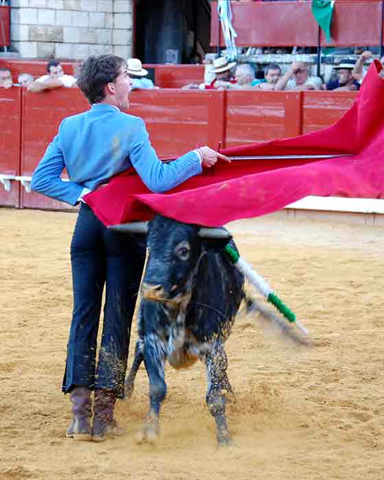 El novillero local Francisco Aguilar, hoy en La Algaba. (FOTO: Teresa Carreto)