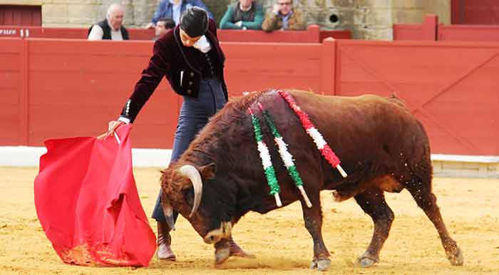 Un muletazo de Pablo Aguado en el festival. (FOTO: Álvaro Pastor)