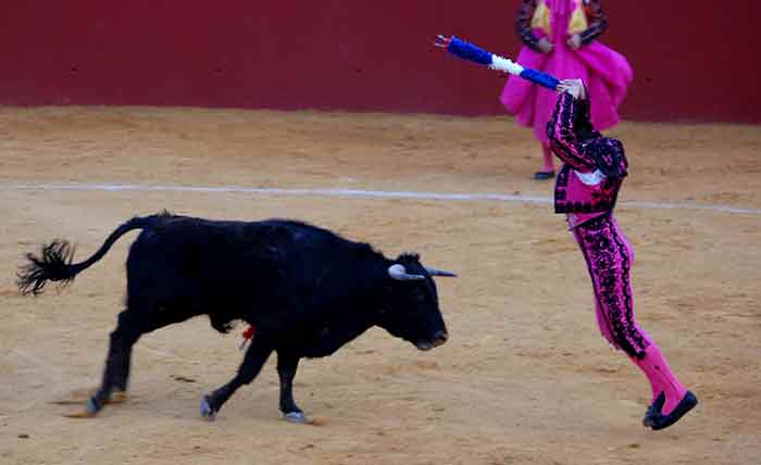 Un par de banderillas cuadrando en la cara.