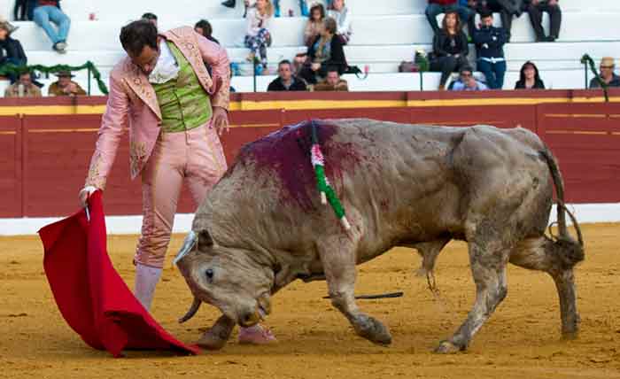 Salvador Cortés.