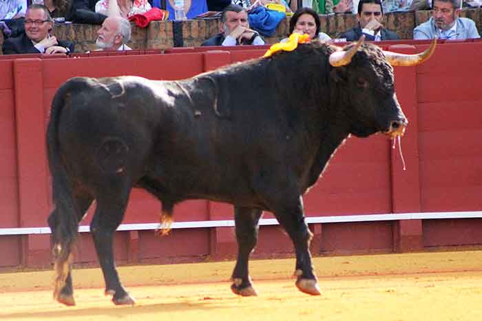 El primero, de Parladé, devuelto a corrales.