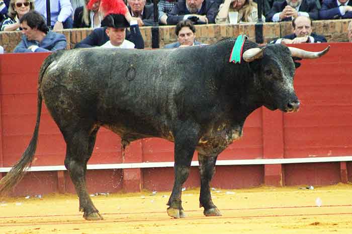 El primero de Miura.