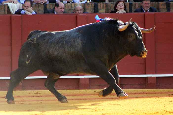 El segundo de Victorino Martín.