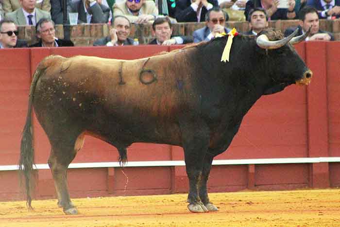 El tercero de Torrestrella.