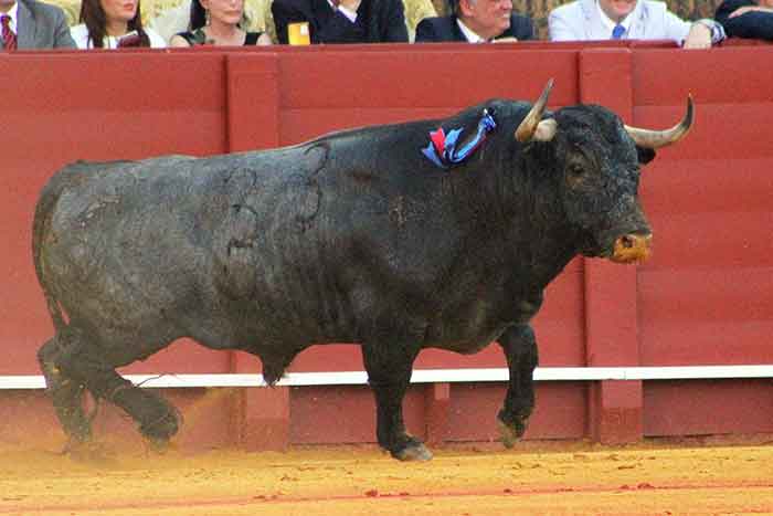 El tercero de Victorino Martín.