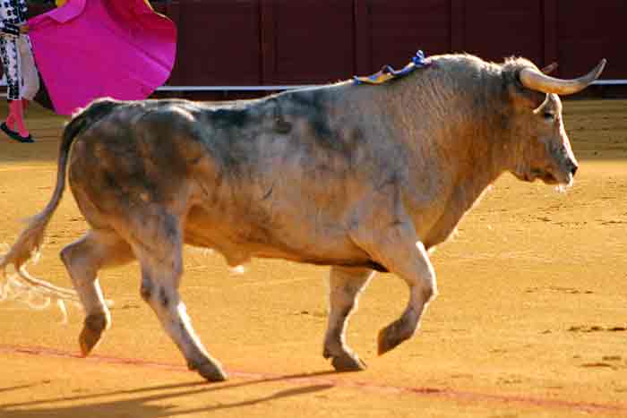 El tercero (primer sobrero).