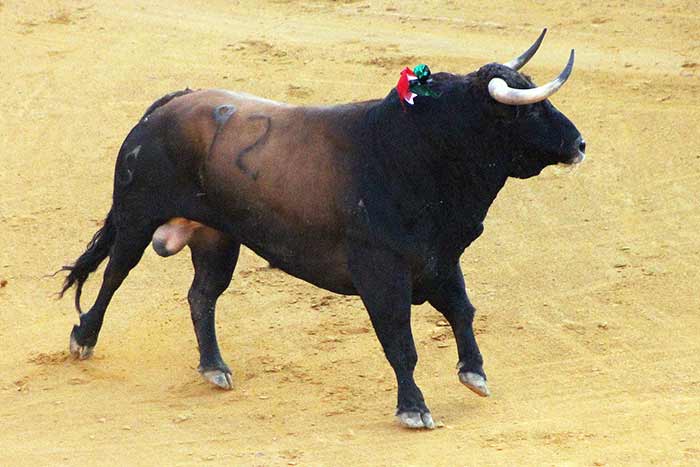 El cuarto, de Parladé, devuelto a corrales.