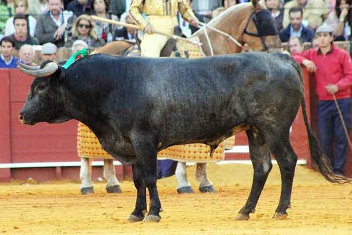 El cuarto (segundo sobrero).