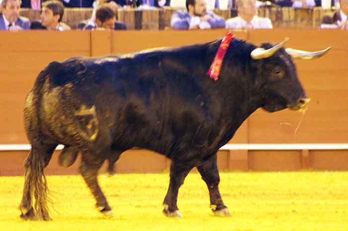 El sexto, de Juan Pedro Domecq.