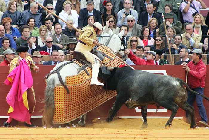 Agustín Navarro.