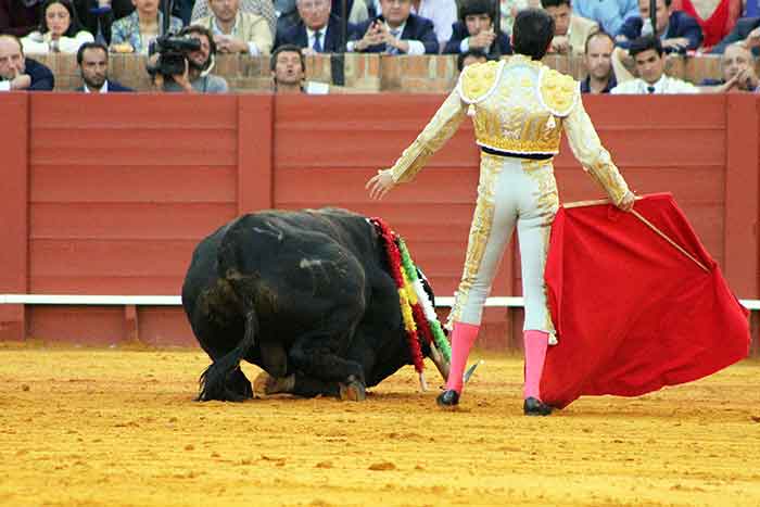 Ponce y una caída del toro.