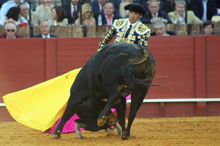 Escaso fondo de los toros de Juan Pedro Domecq.