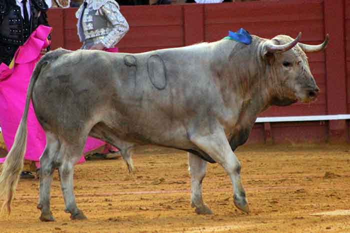 El cuarto de Cayetano Muñoz.