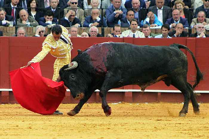 Iván Fandiño.