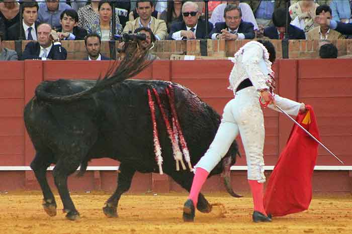 José Garrido.