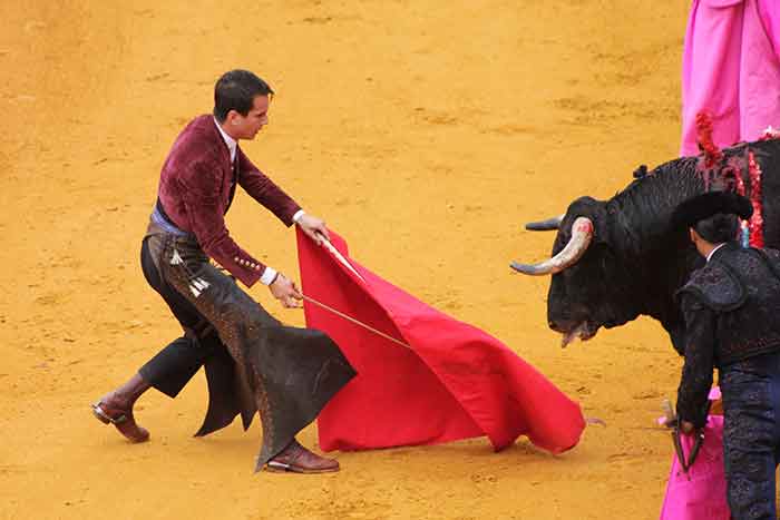 Un nuevo Manzanares con muleta en mano...