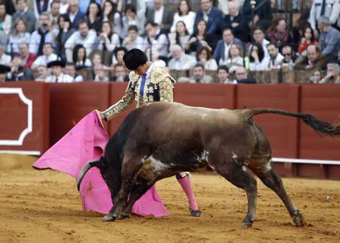 José Ruiz Muñoz.