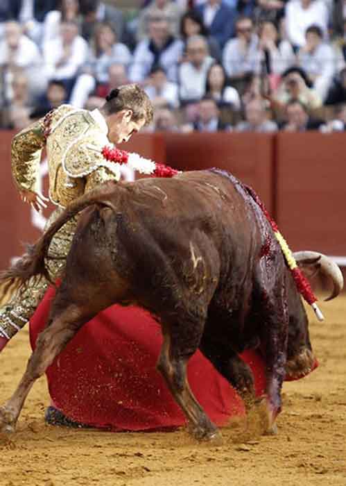 El novillero Miguel Ángel León, hoy en la Maestranza. (FOTO: Arjona/lamaestranza.es)