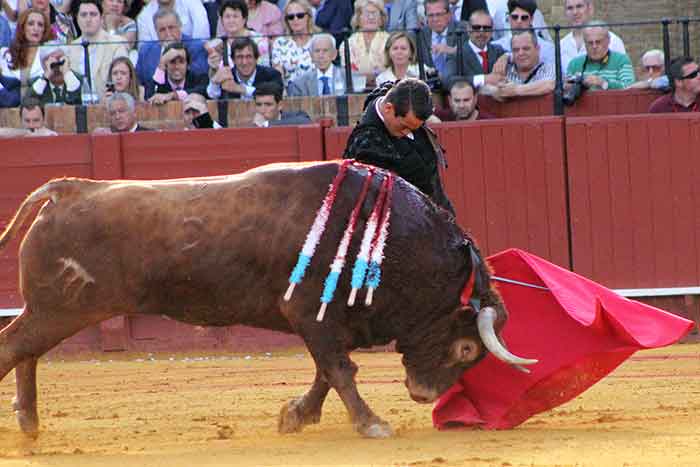 José Mª Manzanares.