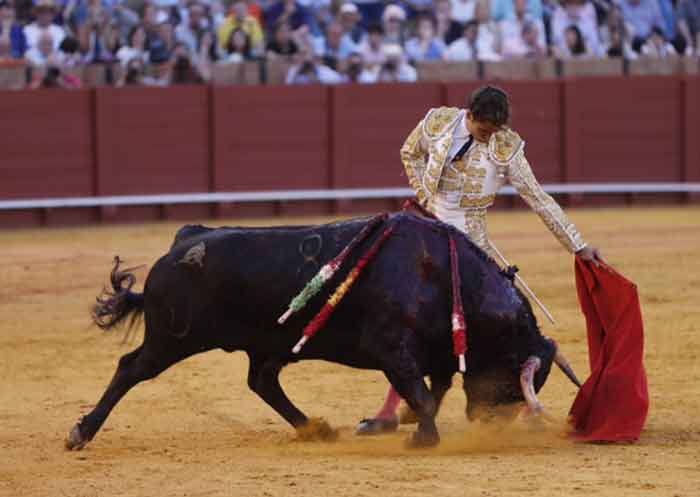 Posada de Maravillas.