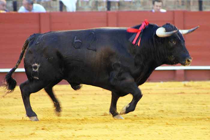 El quinto, de la ganadería del Conde de la Maza.