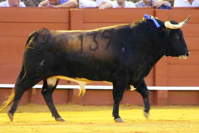 El sexto, de la ganadería del Conde de la Maza.