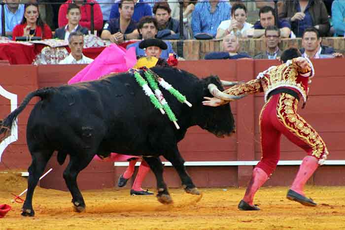 Borja Álvarez.