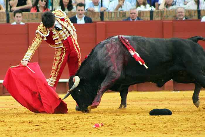 Borja Álvarez.