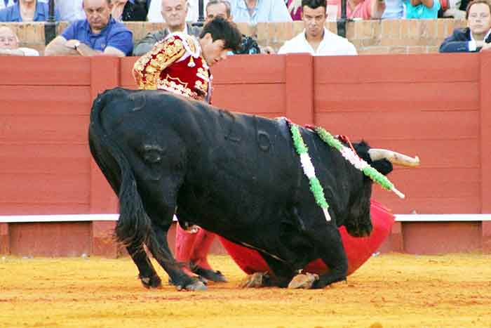 Inexplicable decisión del presidente.