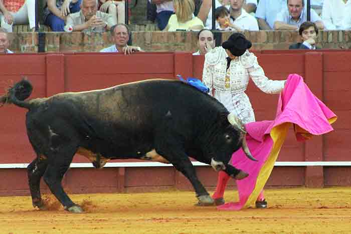 Alejandro Fermín.