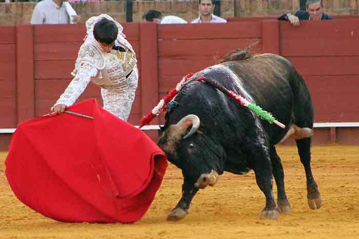 Alejandro Fermín.