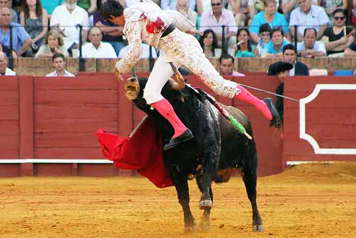 Alejandro Fermín.