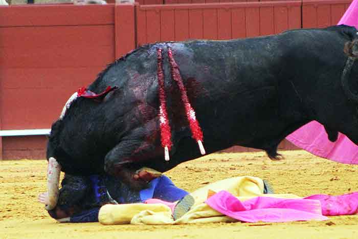 Percance sin graves consecuencias de Manuel García Seco.