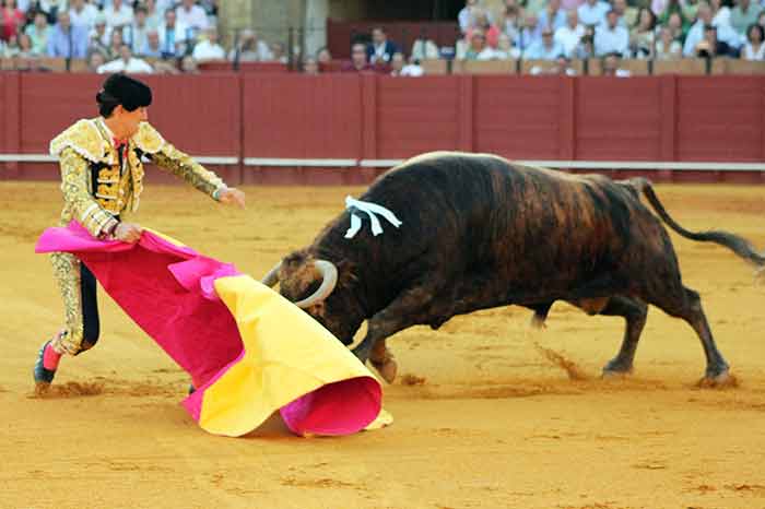 Cogida en el cuarto.