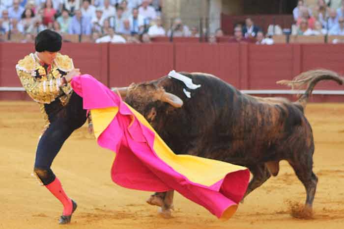 Cogida en el cuarto.