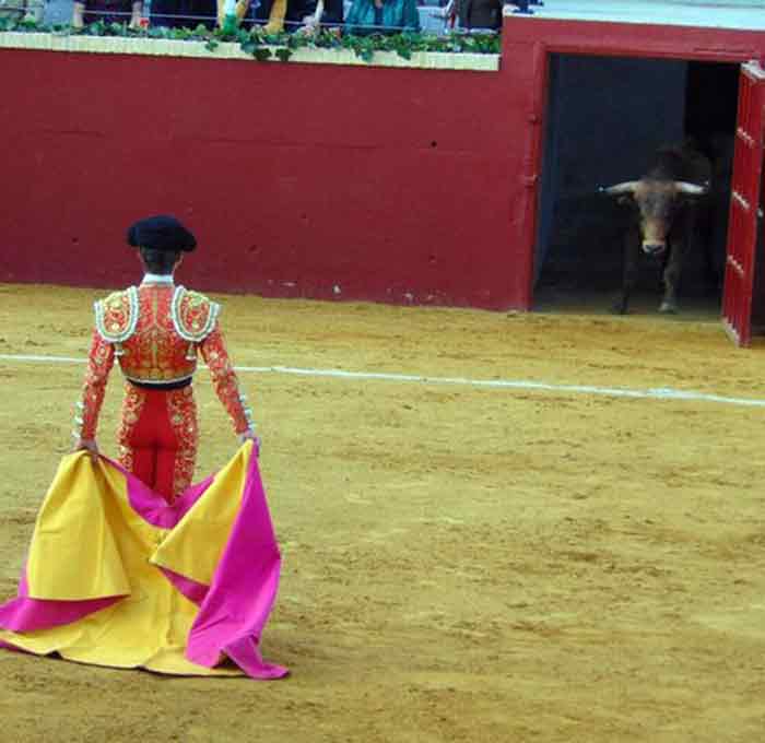 Así recibió Calerito al quinto novillo del festejo en Alcalá del Río.