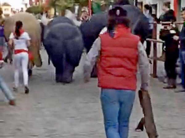 Morante, tras la manada.