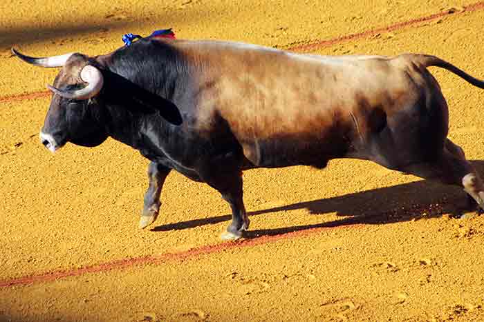 El primero de Domingo Hernández.