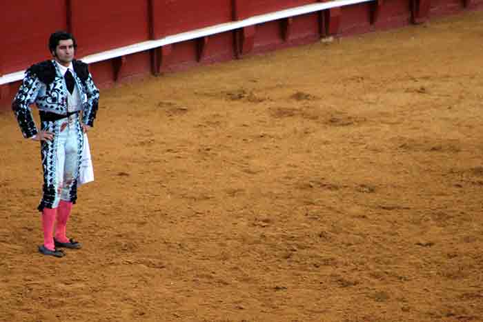 Morante observa al toro.