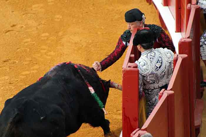 Se apuntilla desde el burladero.