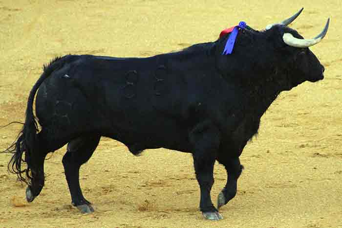 El cuarto de Domingo Hernández.