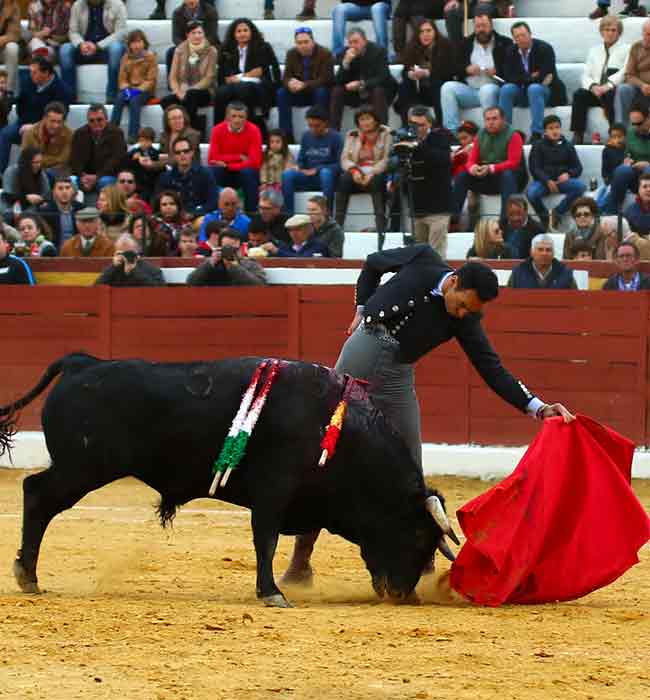 Uno de los buenos naturales de El Cid en el festival de hoy en Écija. (FOTO: Ruiz Pigne)