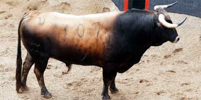 El primer toros de la tarde, el del regreso a Sevilla de Morante tras dos años de ausencia. (FOTO: Pagés)