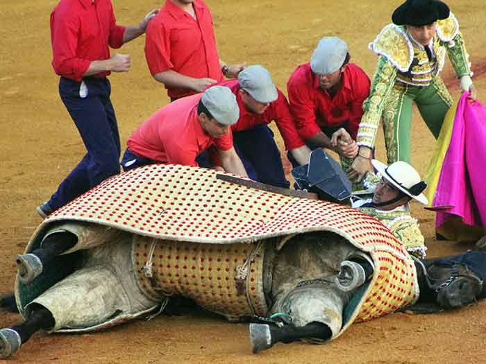 El picador Diego Ortiz quedó atrapado tras la caída del caballo.